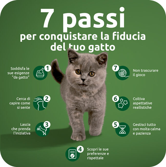 7 passi per conquistare la fiducia del tuo gatto