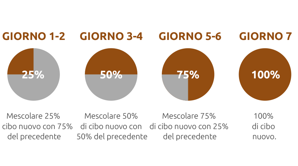 grafico che descrive come reinserire il cibo in un cane