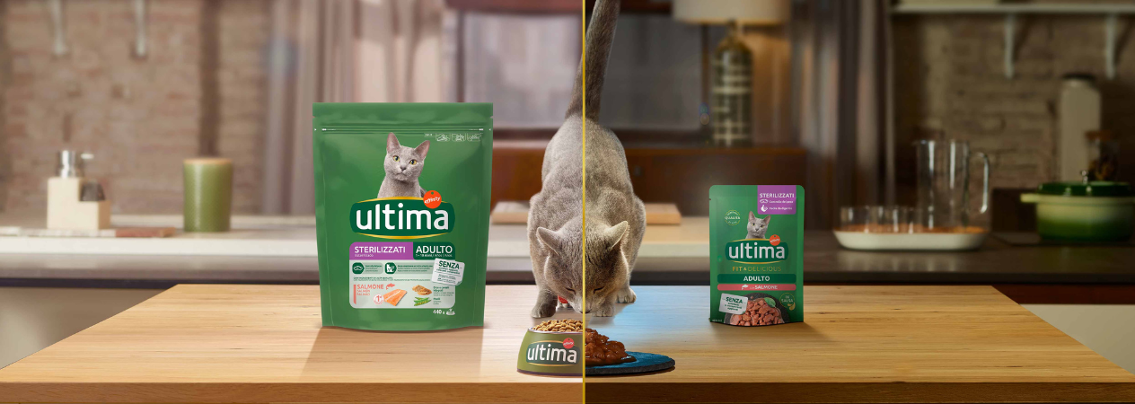 Alimentazione mista: come dare al tuo gatto cibo umido e secco