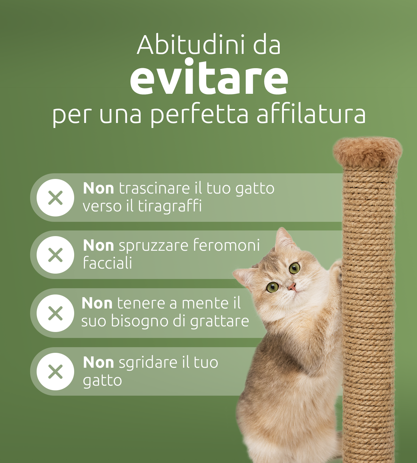 Cosa evitare per incoraggiare un corretto grattamento