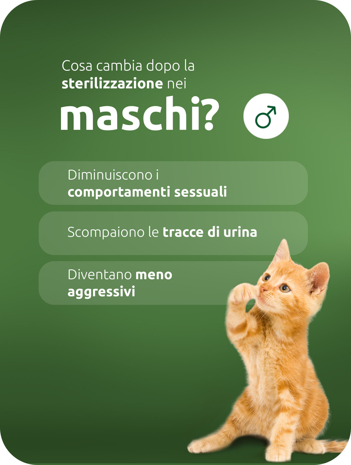 Cosa significa la sterilizzazione per gli uomini?