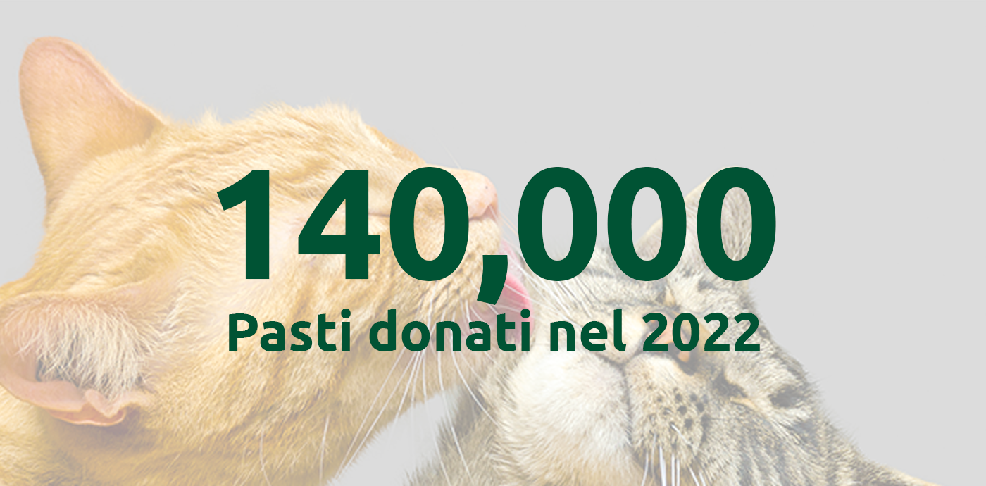 140000 pasti donati gatti