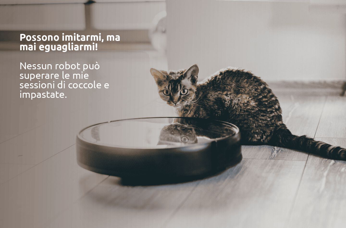 Gatto adulto che guarda dritto davanti a s&eacute; con un Roomba accanto. Testo: &ldquo;Possono imitarmi, ma mai eguagliarmi! Nessun robot pu&ograve; superare le mie sessioni di coccole e impastate.&rdquo;