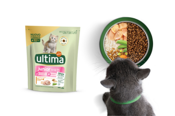 Ultima Junior per gattini