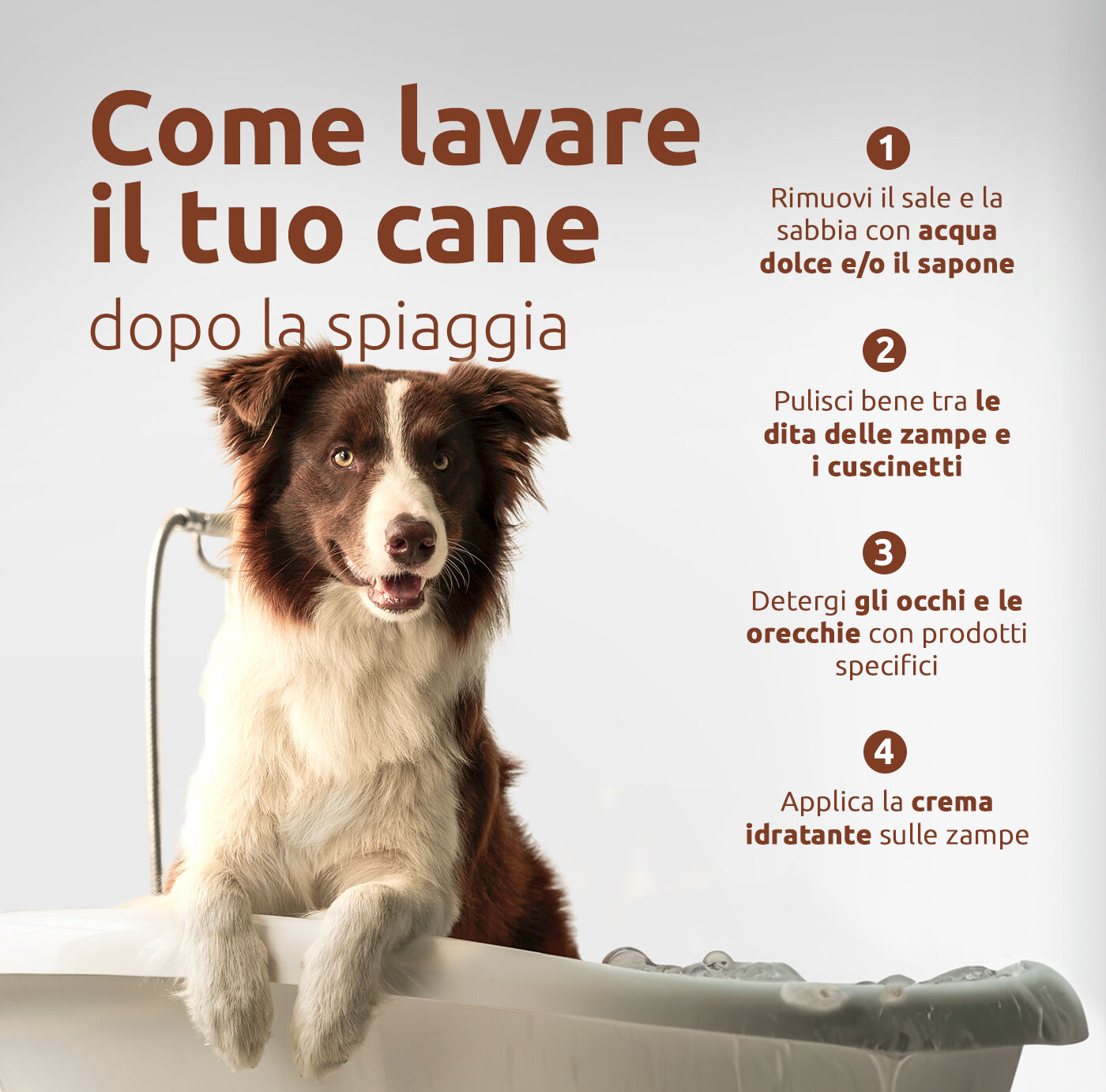 cane nella vasca da bagno
