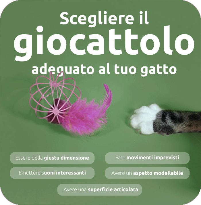 Giocattolo per il tuo gatto