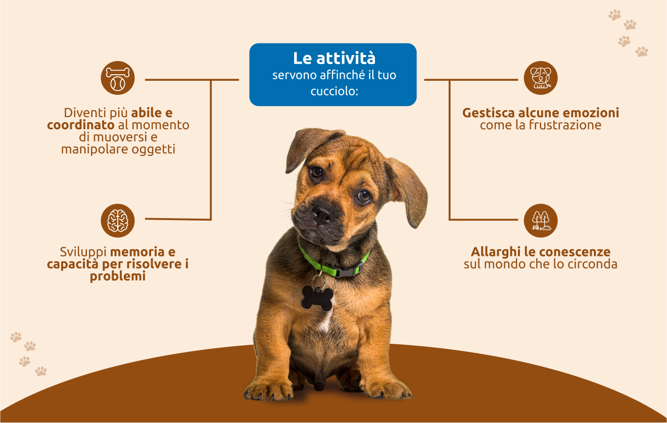 A cosa servono le attivit&agrave; per il tuo cucciolo?
