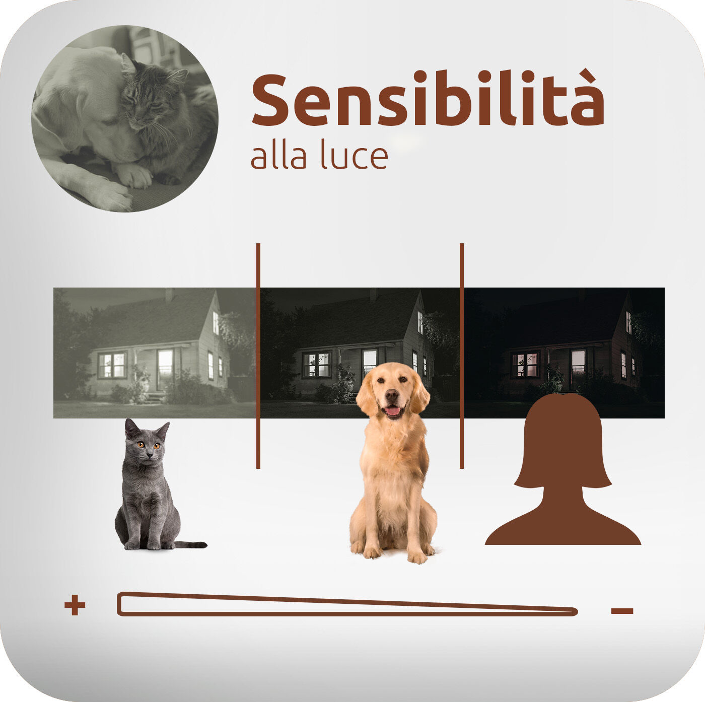 Sensibilit&agrave; alla luce