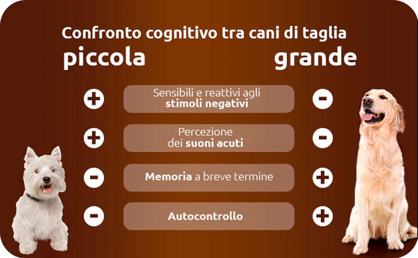 confronto tra cani di piccola taglia e cani di grossa taglia