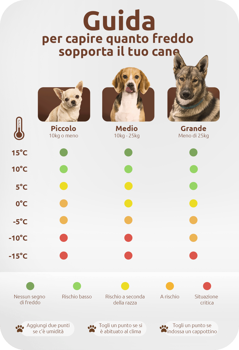 grafico che confronta quali tipi di cani resistono a temperature diverse