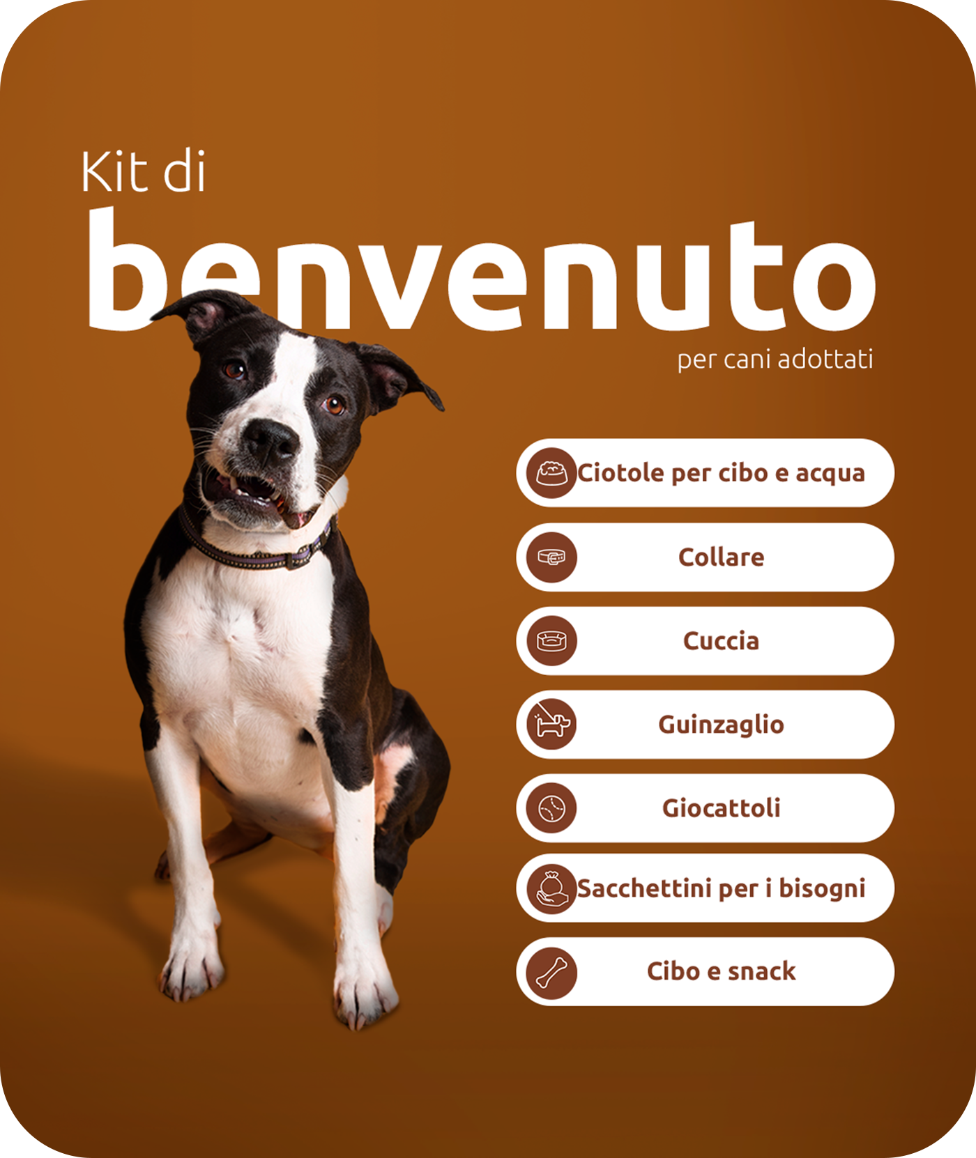 Kit di benvenuto per cani adottati