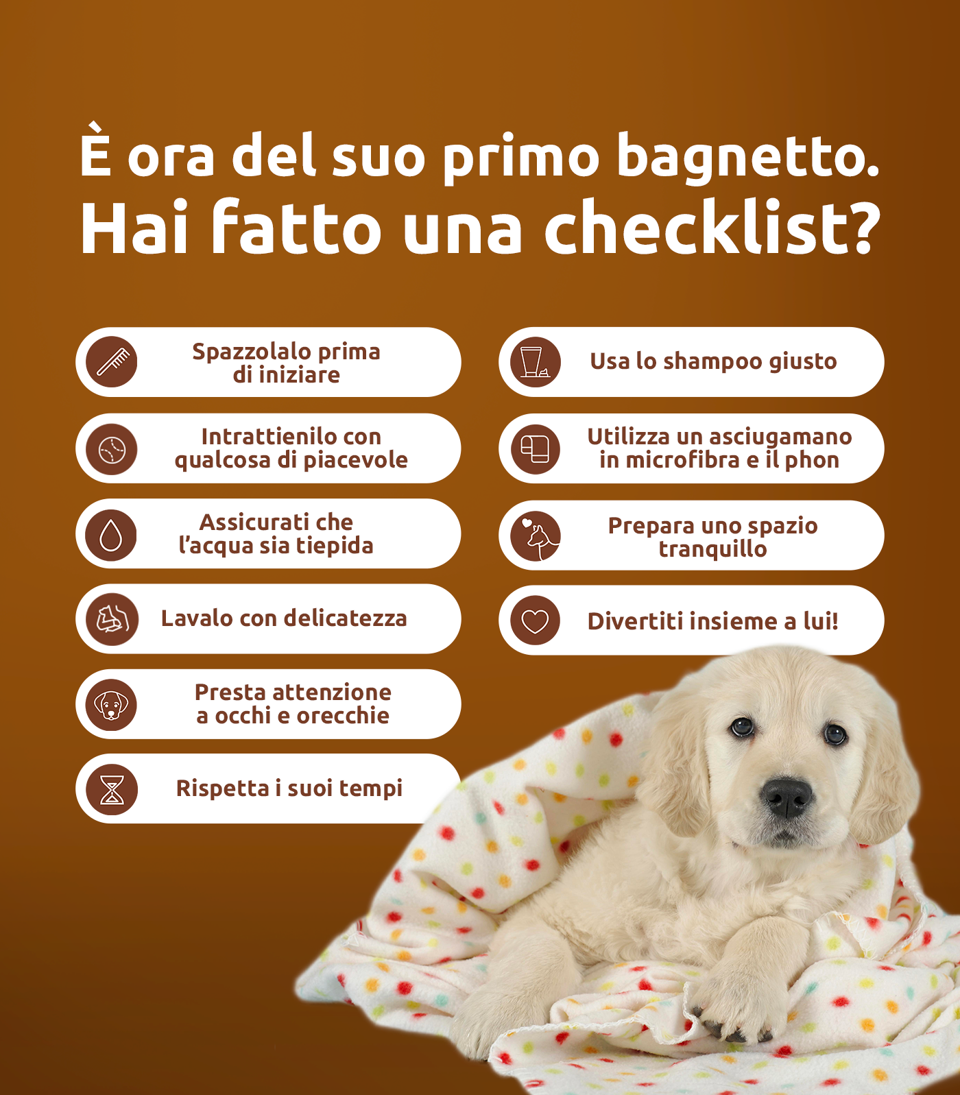 Primo bagnetto cane