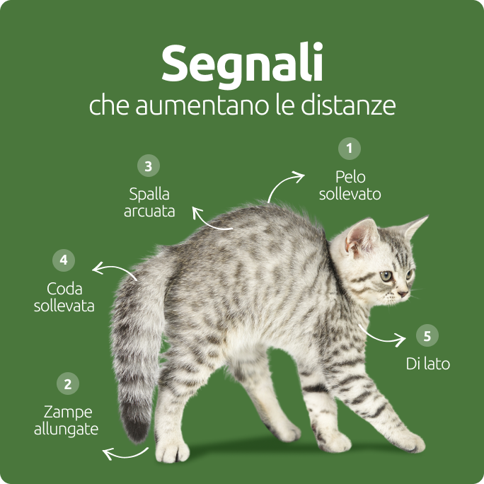 Segnali che aumentano le distanze