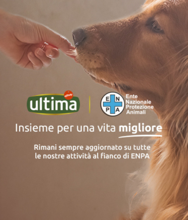Header ENPA Repositorio desktop.jpg