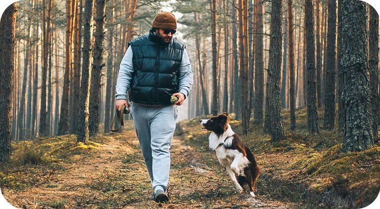 Cane che gioca con l'uomo nei boschi