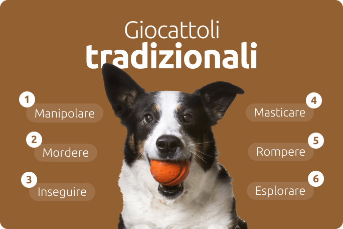 Giochi tradizionali per cani