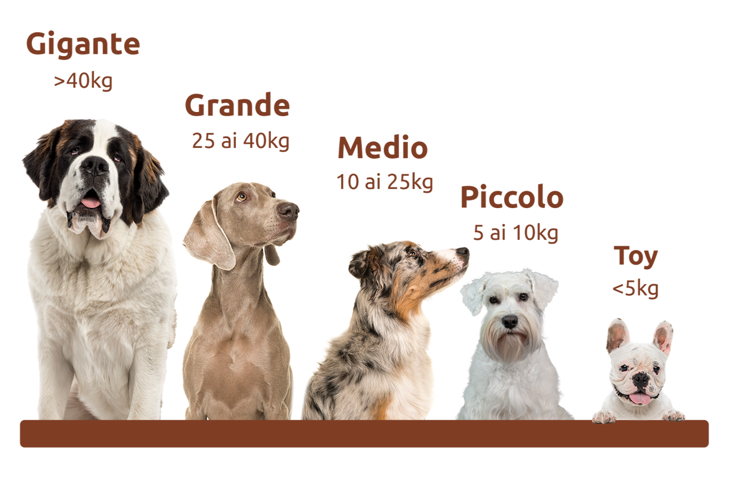 cani classificati in base al peso