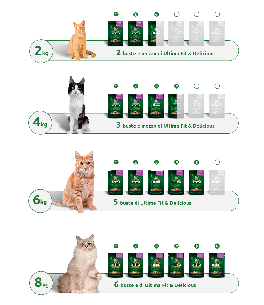 tabella delle razioni per gli alimenti umidi per gatti
