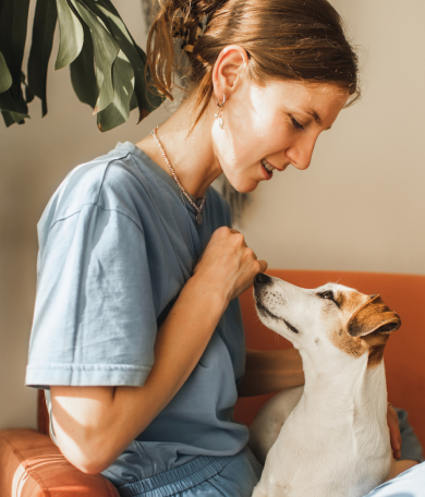Image Link For Raccomandazioni per l'arrivo del tuo cane in casa