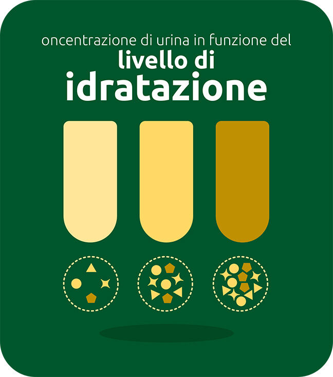 concentrazione di urina in funzione del livello di idratazione