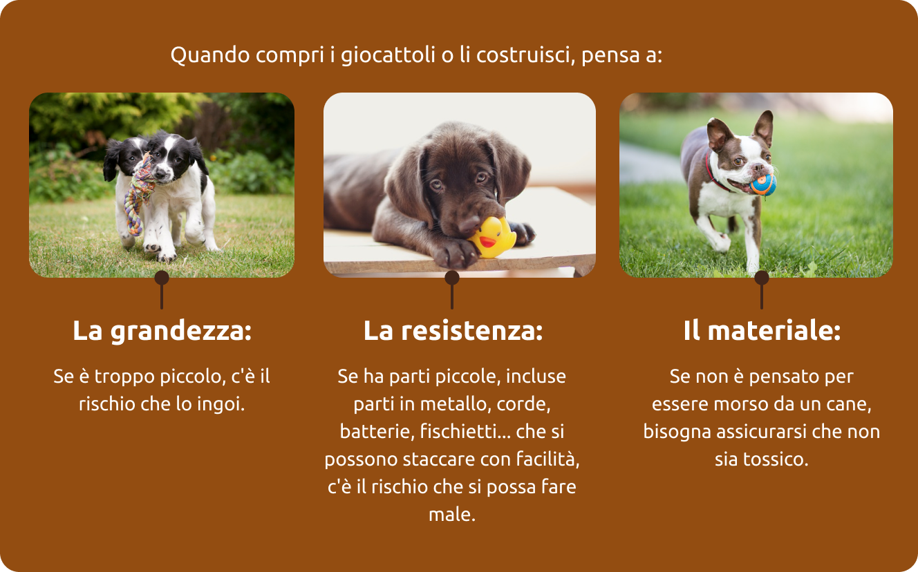 Guida all'acquisto di giocattoli