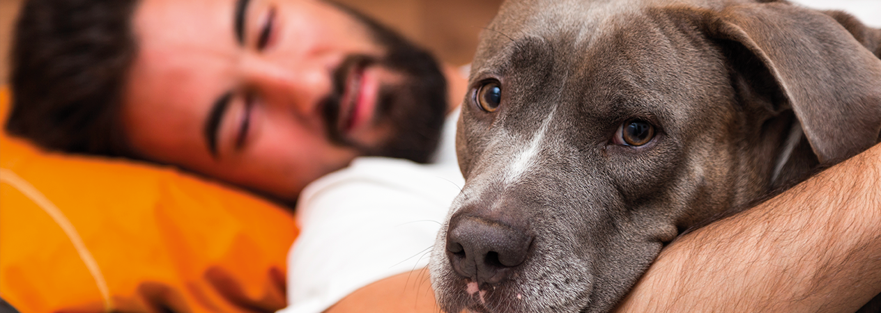 Va bene dormire con il cane?