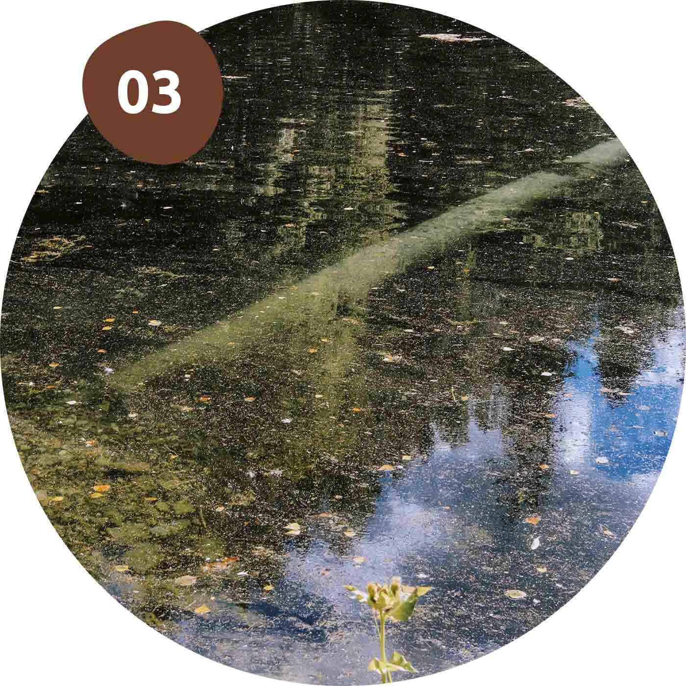 foto acqua del lago