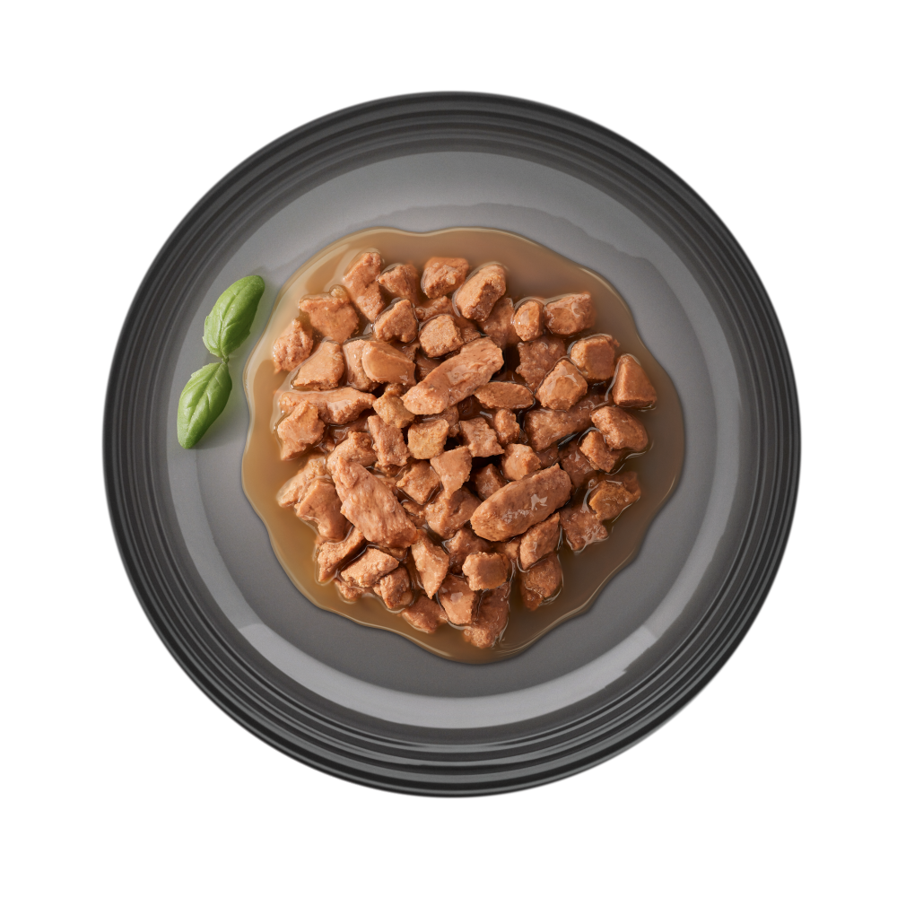 Plato de comida h&uacute;meda gato Ultima