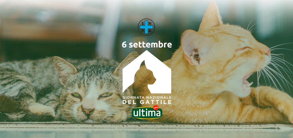 La prima Giornata Nazionale del Gattile