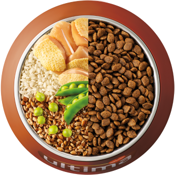 Bowl con ingredientes comida seca perro