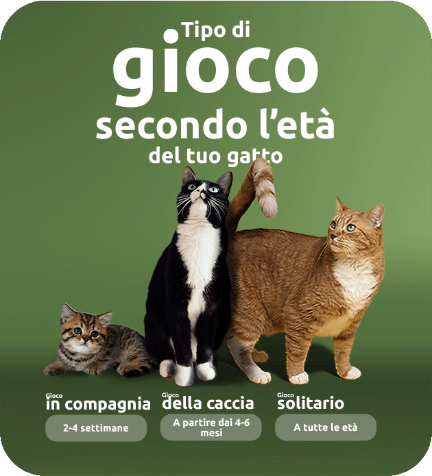 tipo di gioco