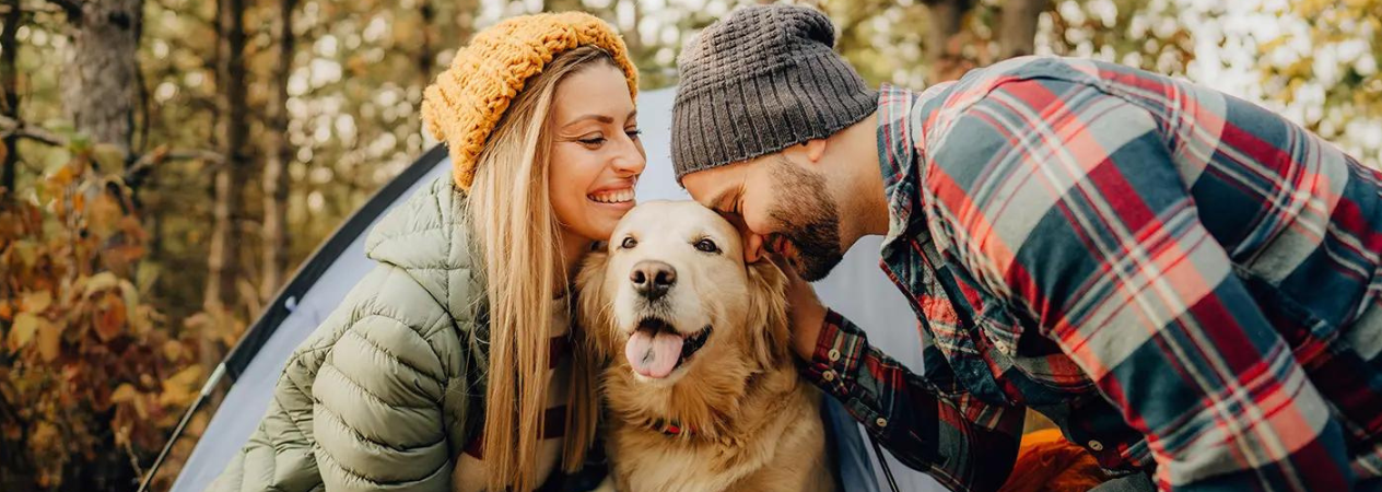 10 attivit&agrave; autunnali da fare con il tuo cane