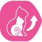 Contribui para o crescimento saud&aacute;vel do seu gatinho