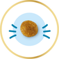Croquete adaptado