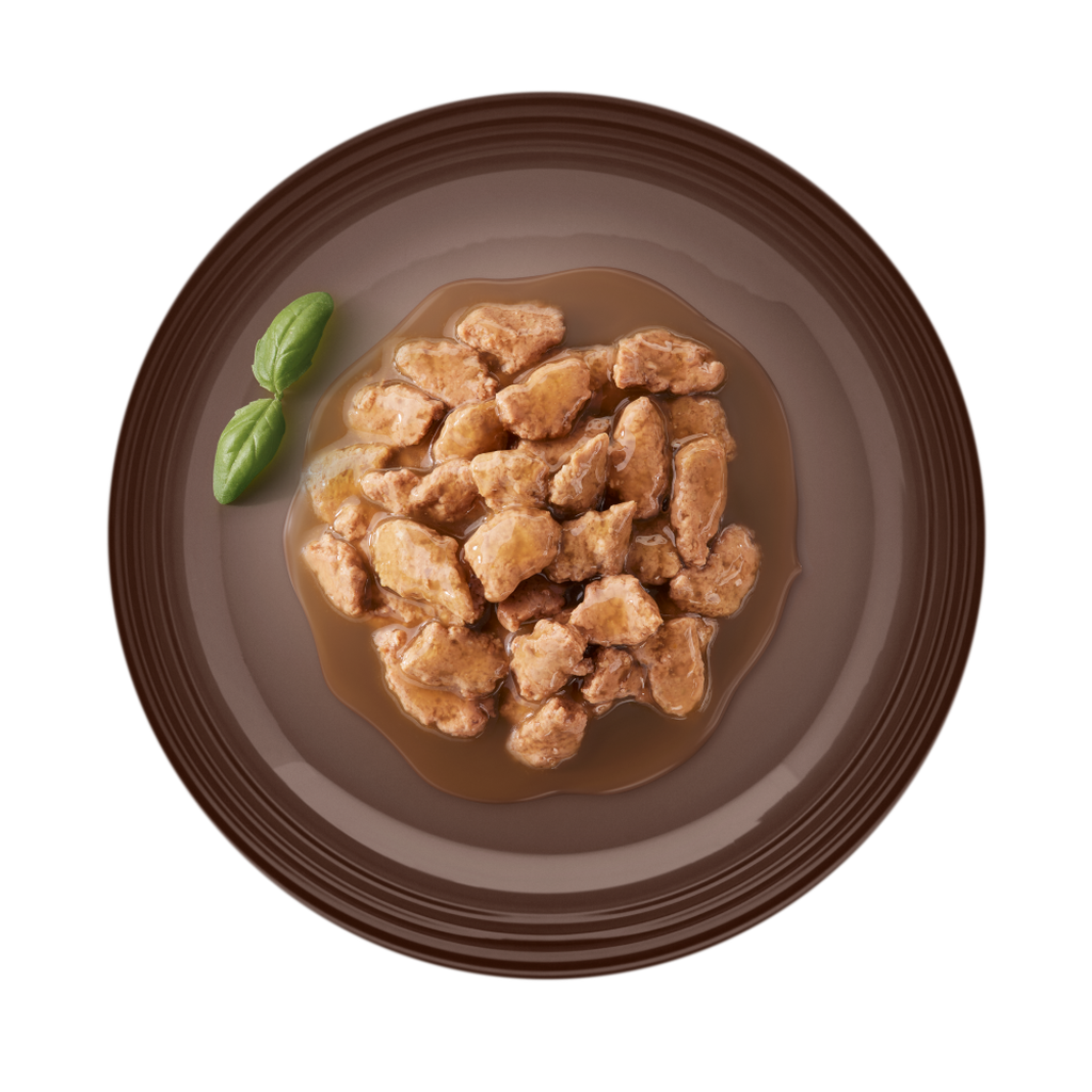 Com Salm&atilde;o e ervas arom&aacute;ticas