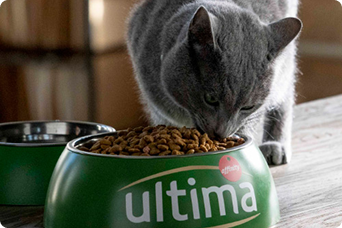 Nutri&ccedil;&atilde;o Ultima para gatos