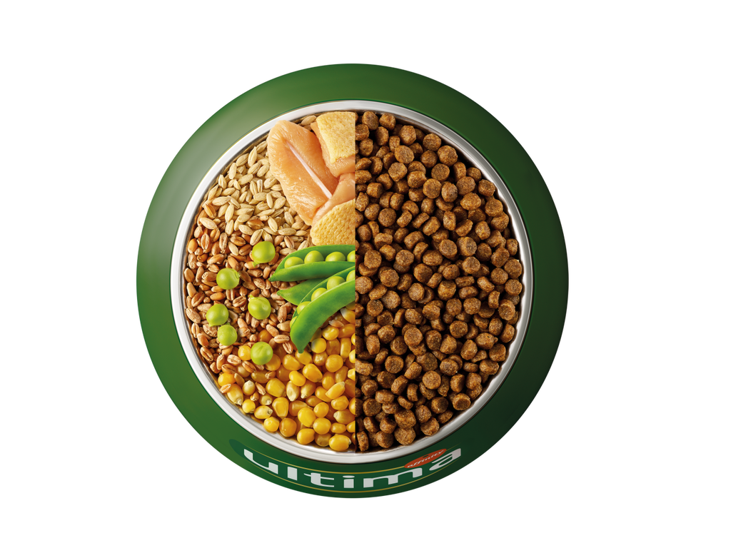 Chicken, barley, whole grains and peas