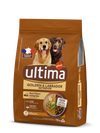 Medium-Maxi Golden & Labrador avec du Poulet