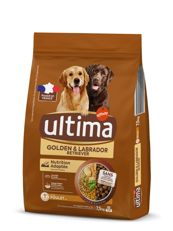 Medium-Maxi Golden & Labrador with Chicken