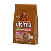 Medium-Maxi Bem-estar Digestivo com Salm&atilde;o