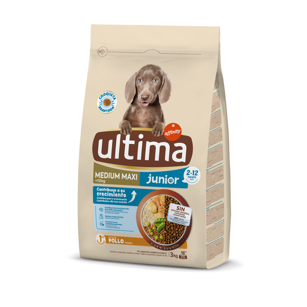 Medium-Maxi Junior com Frango