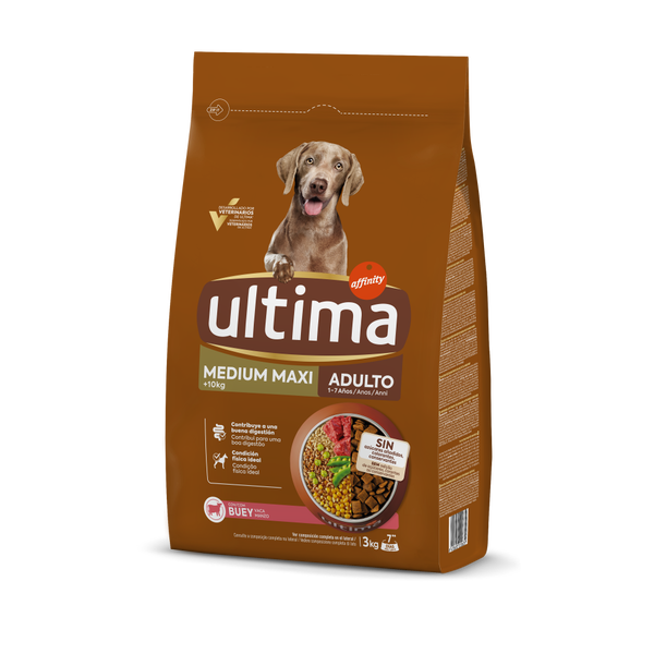 Medium-Maxi Adulto com Vaca