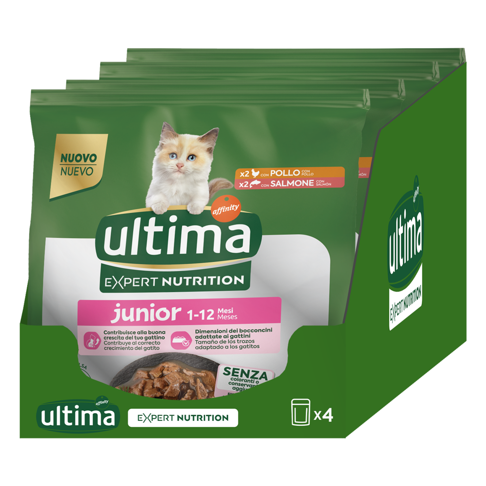 Expert Nutrition Junior con Pollo y Salm&oacute;n