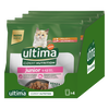 Expert Nutrition Junior con Pollo y Salm&oacute;n