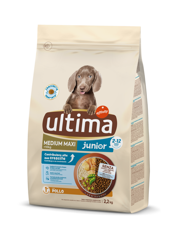 Medium-Maxi Junior with Chicken