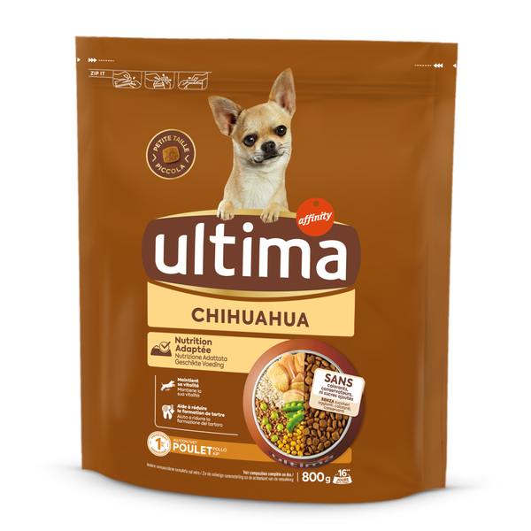 Taglia Piccola Chihuahua con Pollo