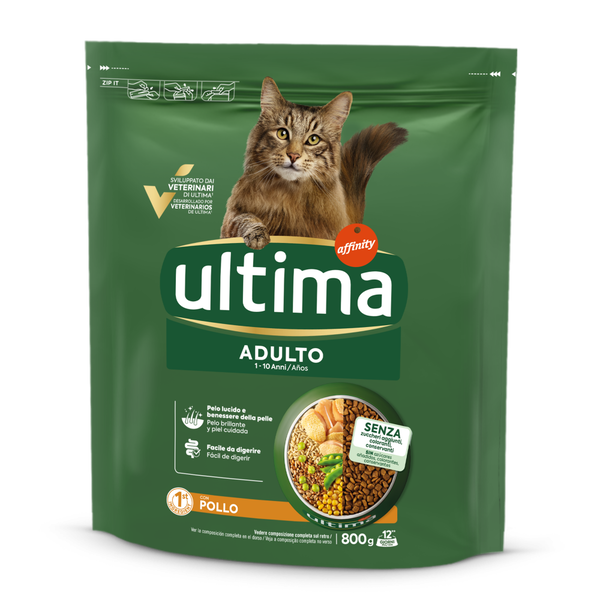 Adulto con Pollo