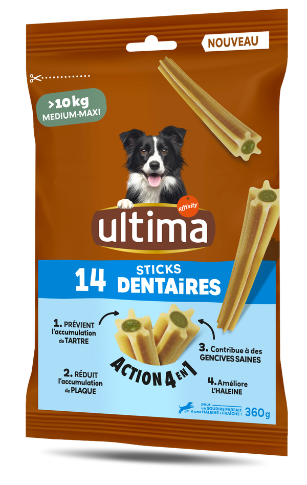 14 Sticks Dentaires