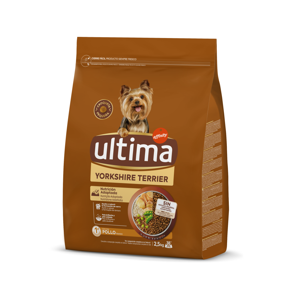 Petit Yorkshire Terrier amb Pollastre
