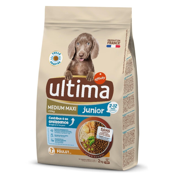 Medium-Maxi Junior com Frango